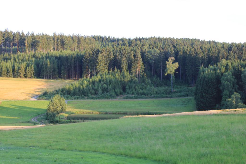 Landgasthof Haueis Marktleugast 외부 사진