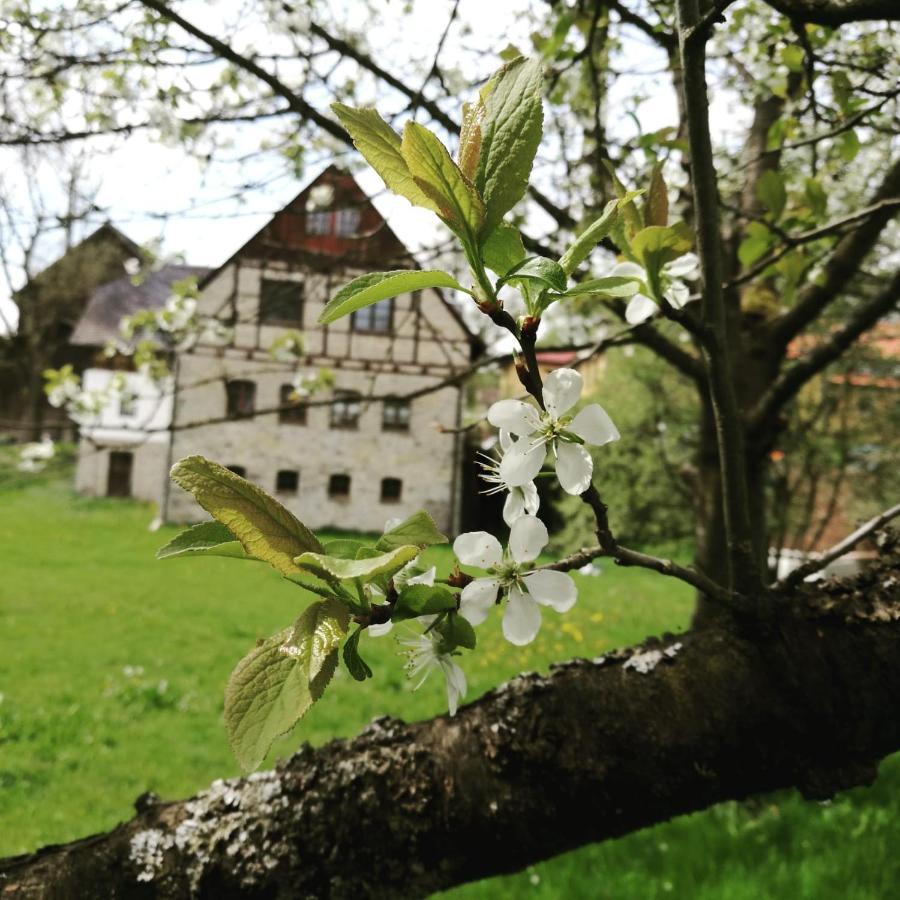 Landgasthof Haueis Marktleugast 외부 사진